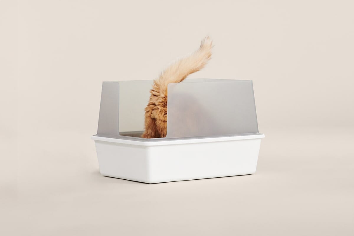 Cubby Modern Cat Litter Box with High Walls