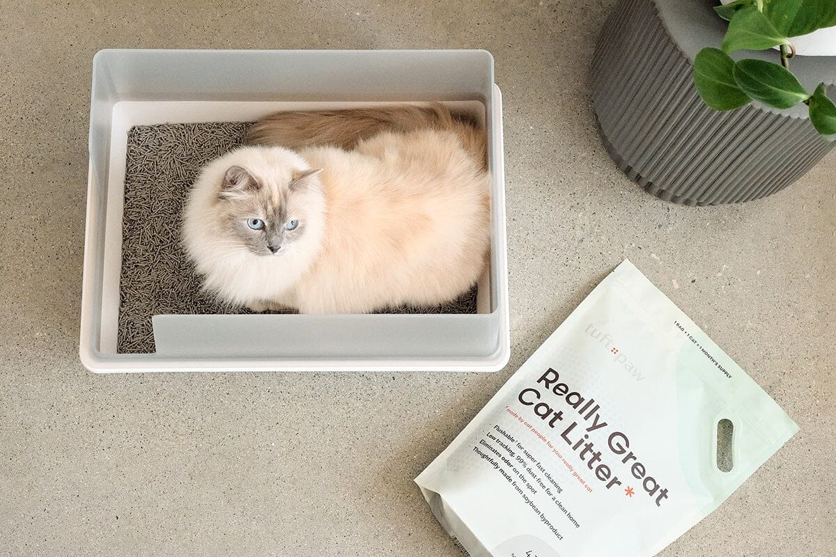 Cubby Modern Cat Litter Box with High Walls