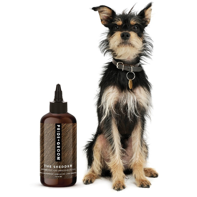 Pride + Groom THE SHEDDER Dog Shampoo — Natural, Moisturizing De-Shedding Dog Shampoo