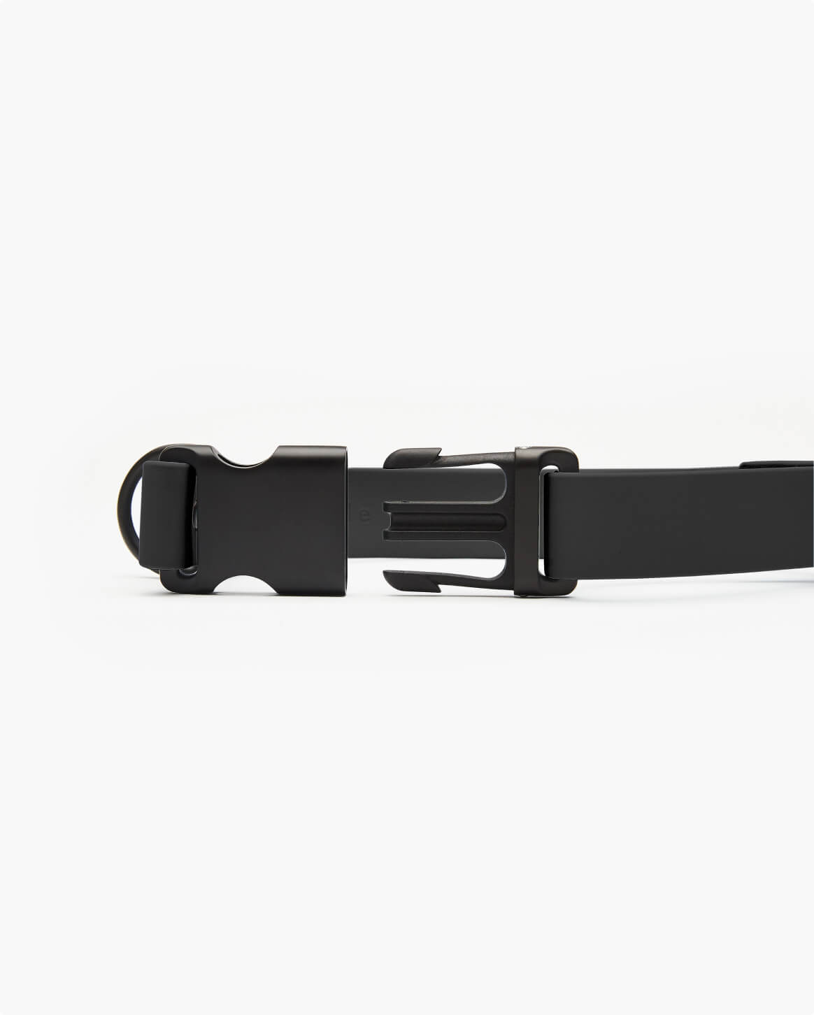 Signature Dog Collar with Auto Buckle