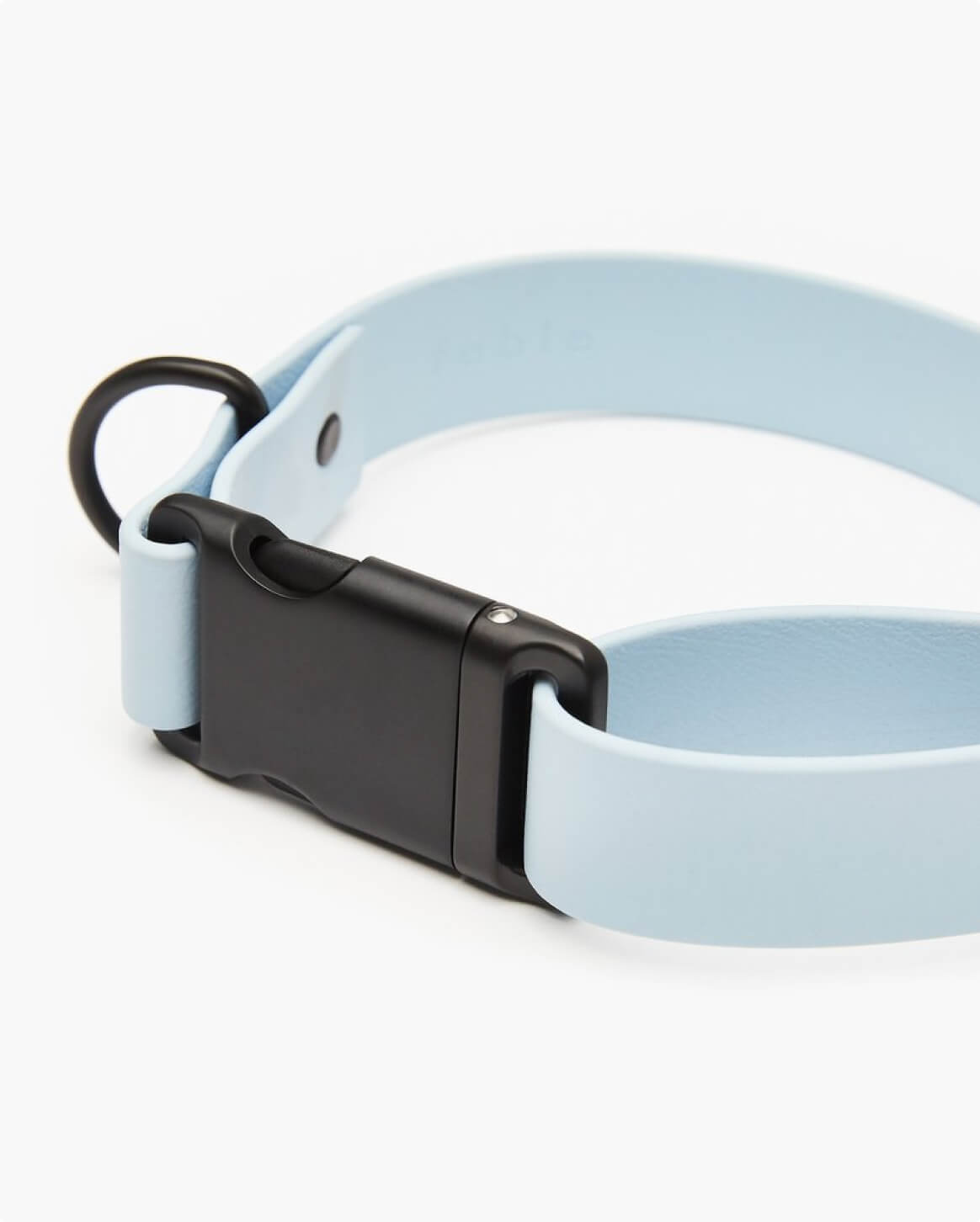 Signature Dog Collar with Auto Buckle