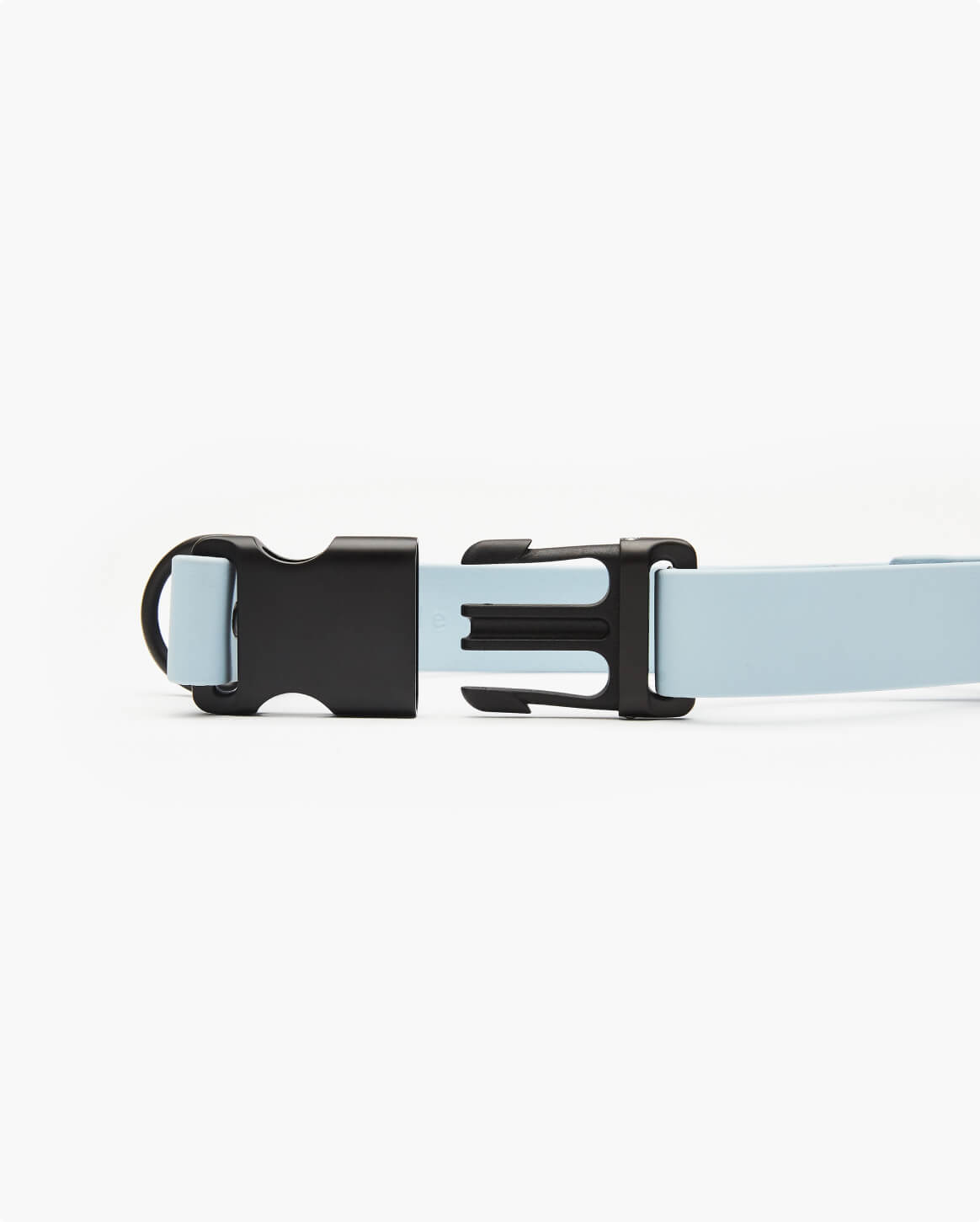 Signature Dog Collar with Auto Buckle