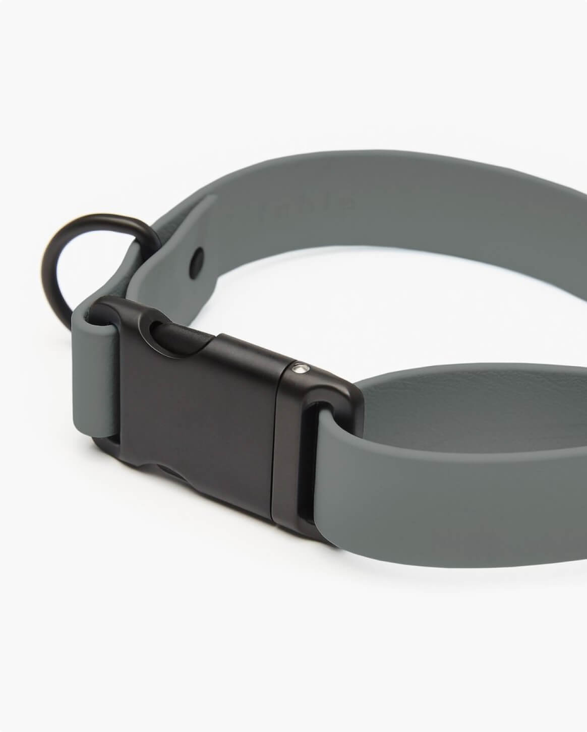 Signature Dog Collar with Auto Buckle