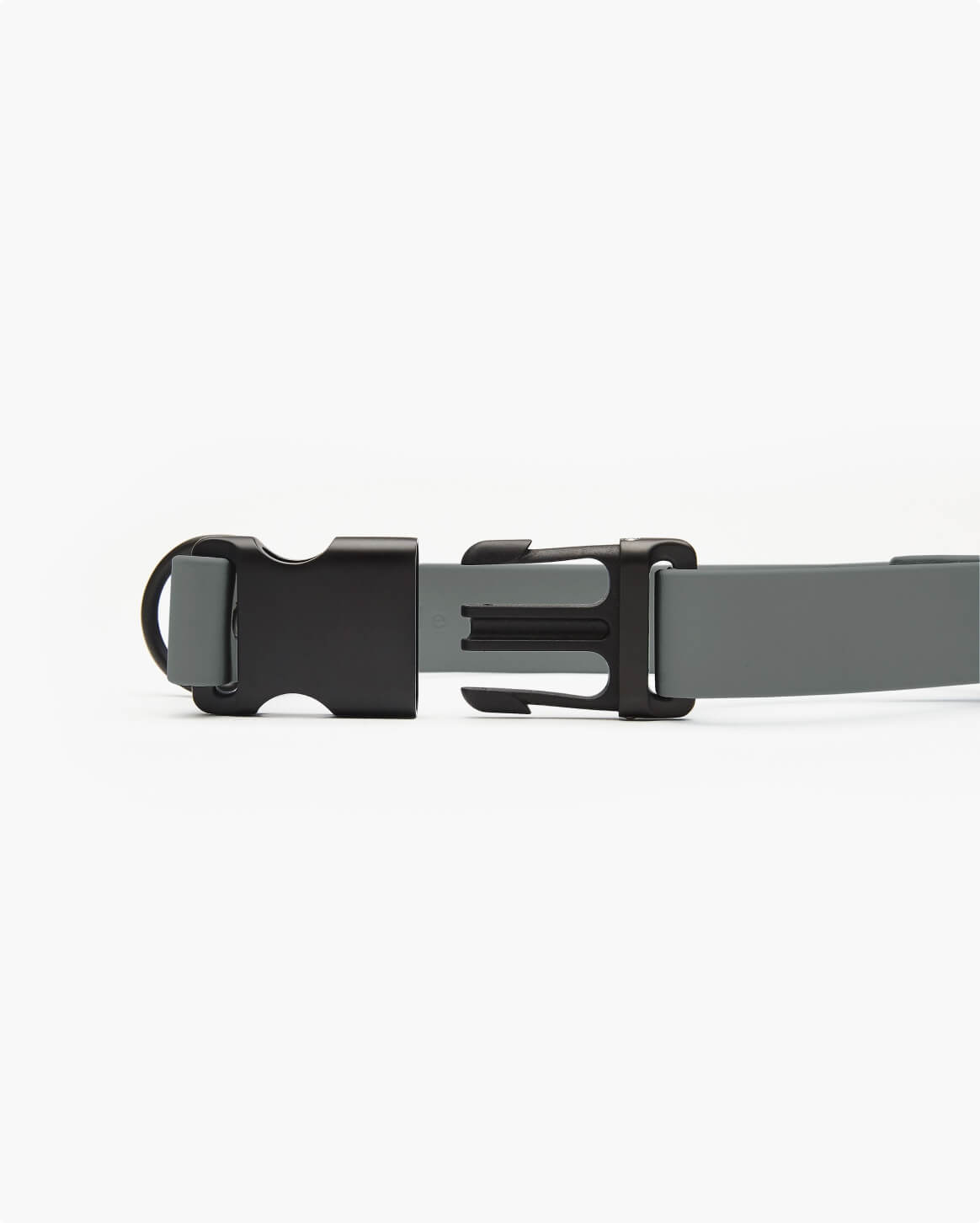 Signature Dog Collar with Auto Buckle