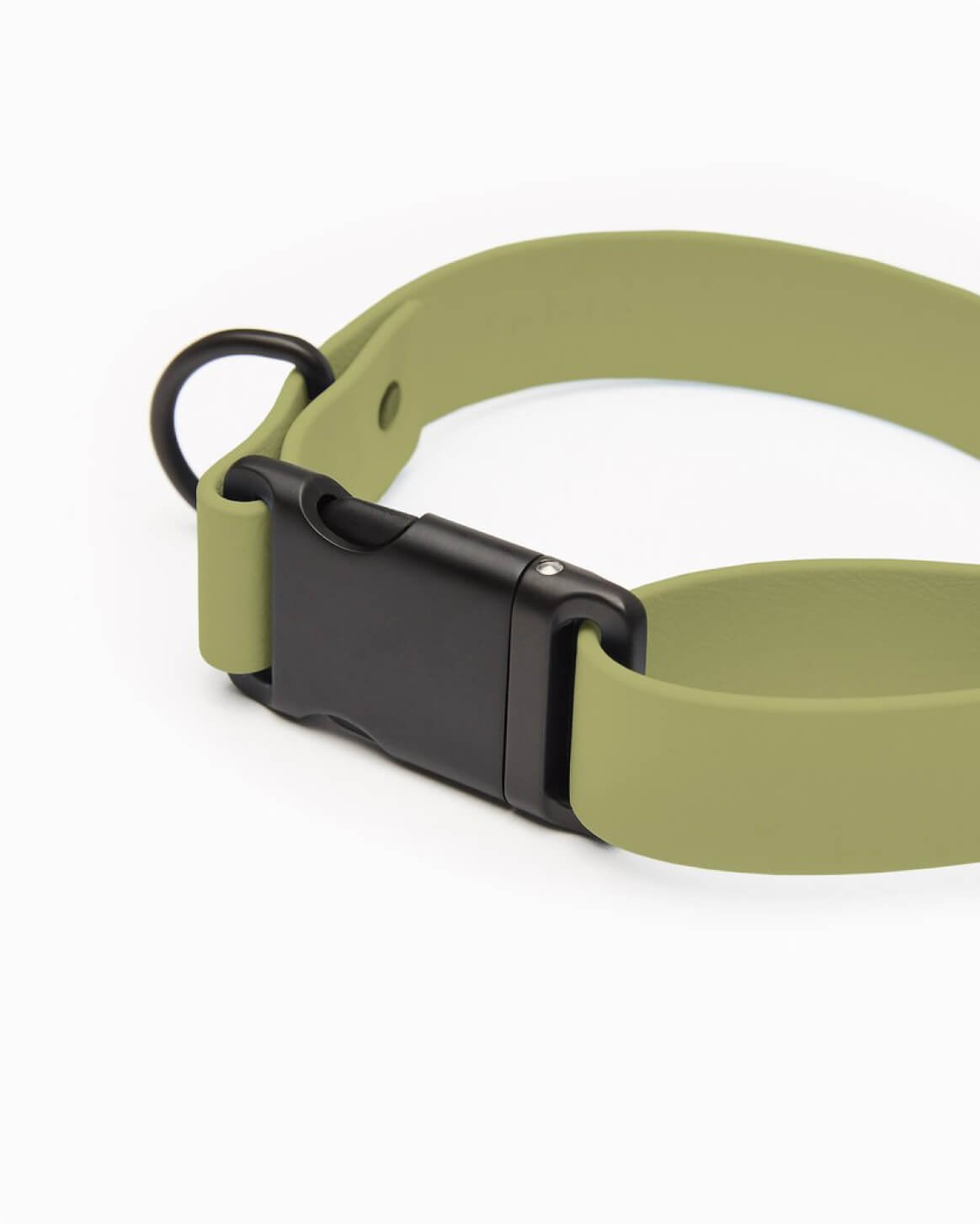 Signature Collar Personalized