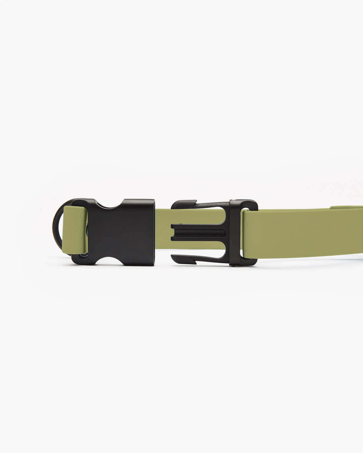 Signature Dog Collar with Auto Buckle