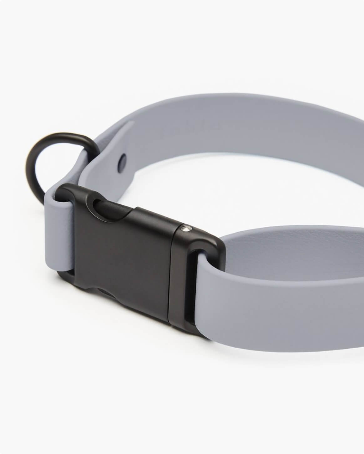 Signature Dog Collar with Auto Buckle
