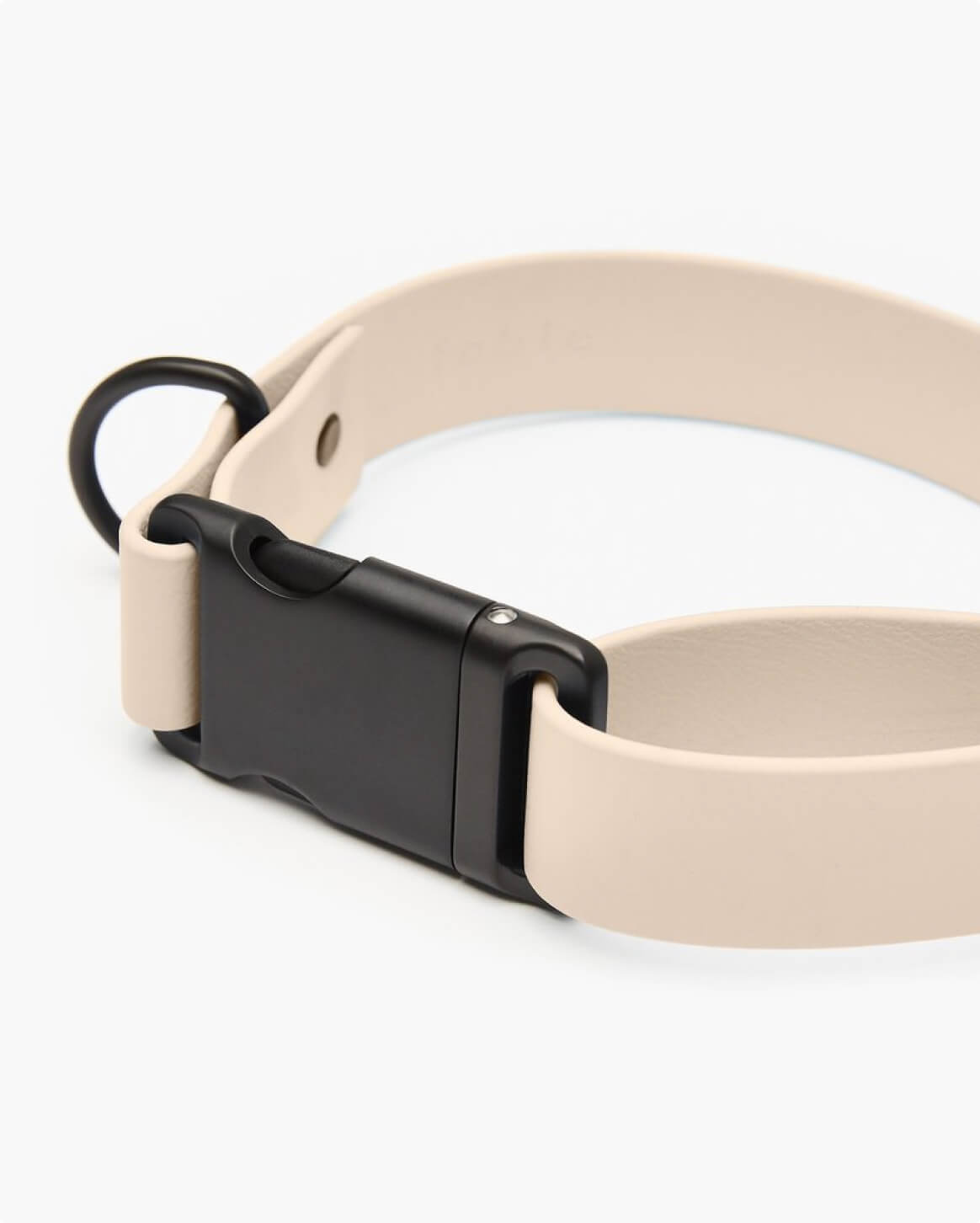 Signature Dog Collar with Auto Buckle