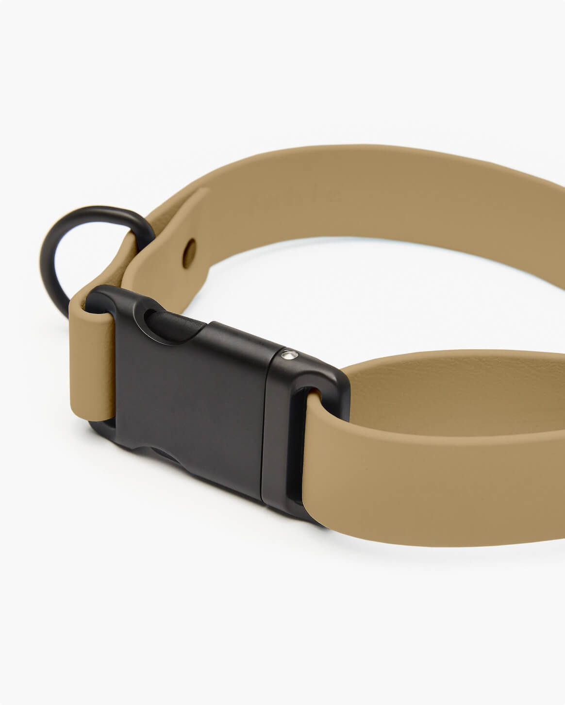 Signature Dog Collar with Auto Buckle