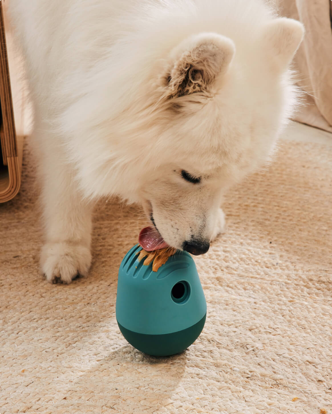 Interactive Dog Treat Puzzle Toy