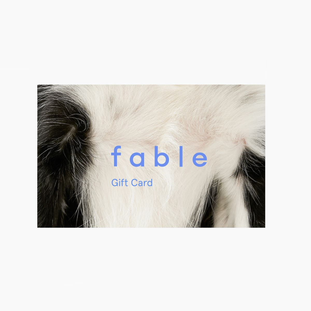 Digital Gift Card