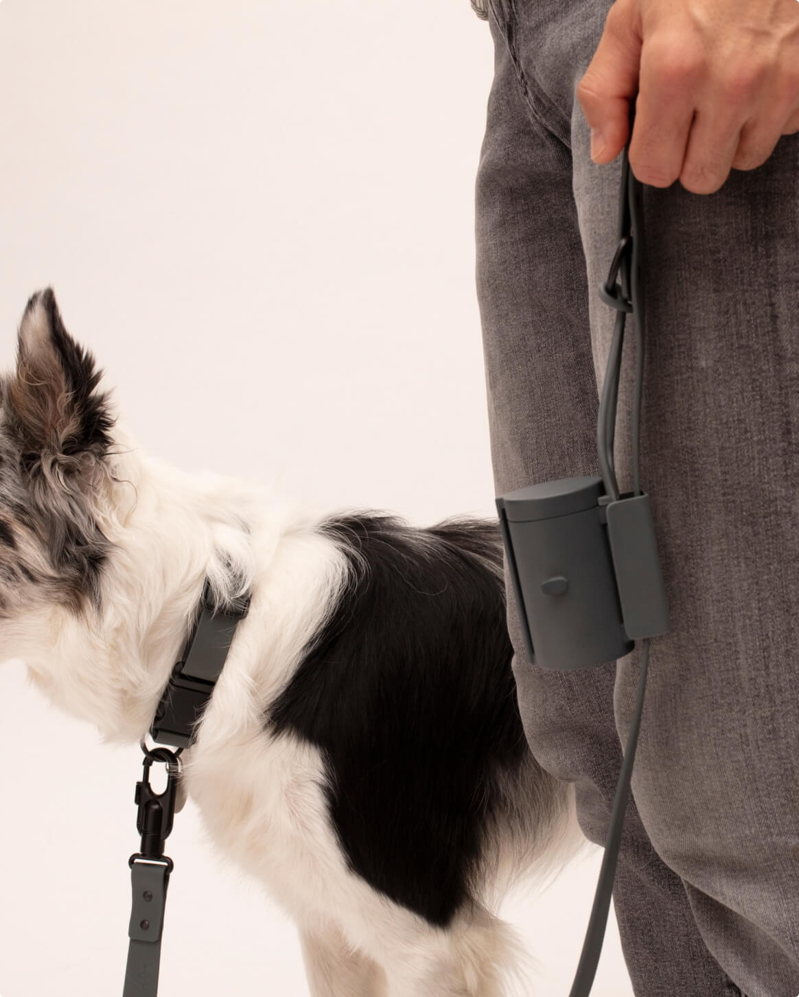 Waterproof Signature Dog Leash – Shadow