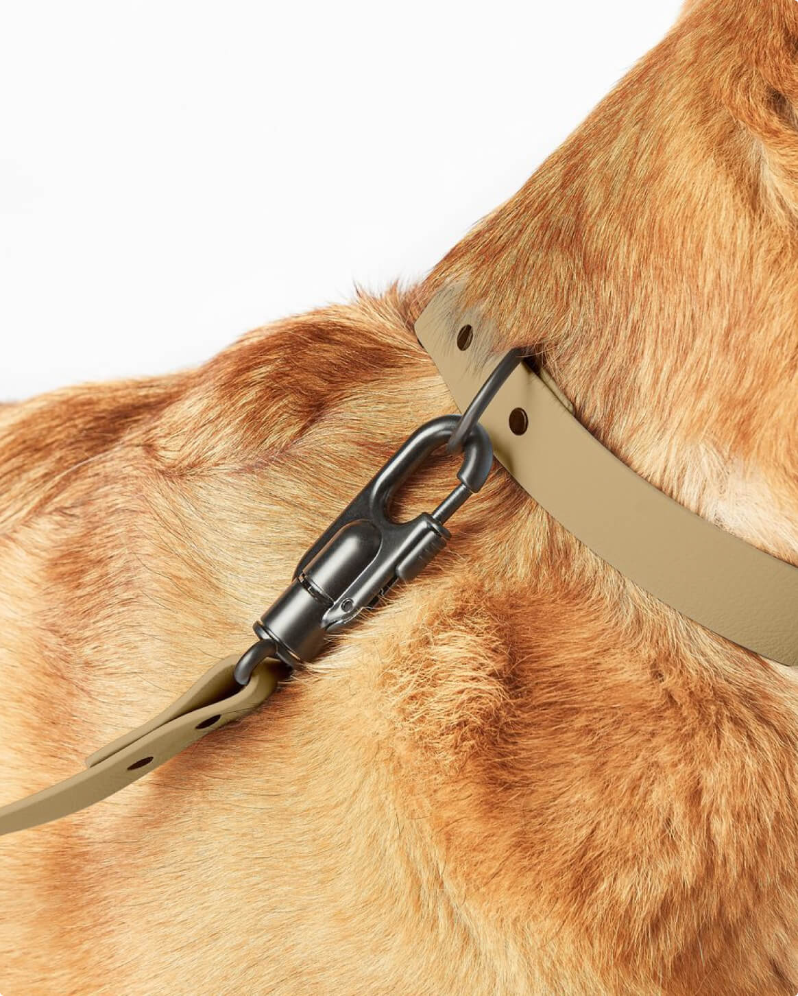 Waterproof Signature Dog Leash – Shadow