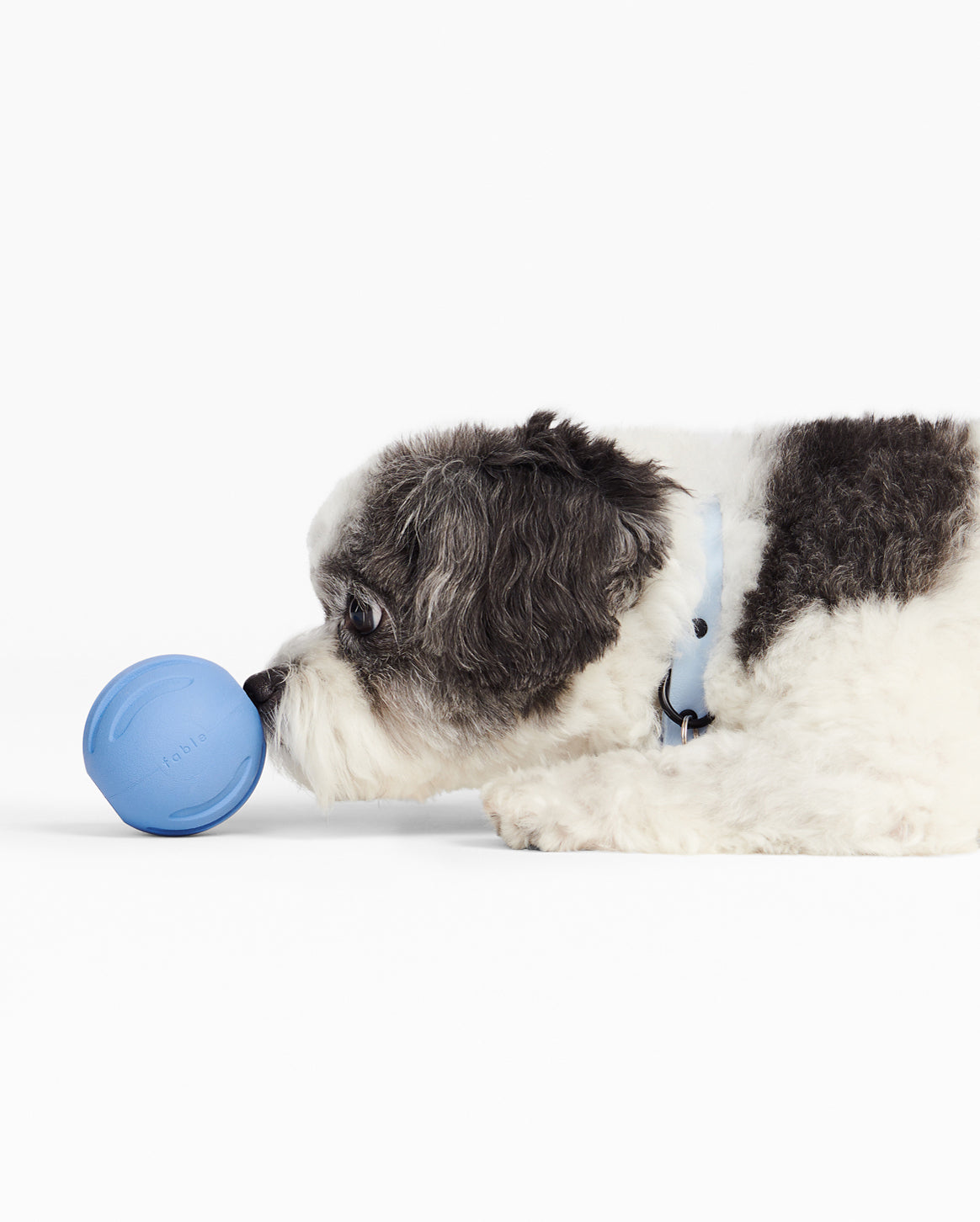 Signature Ball (Pack of 3)